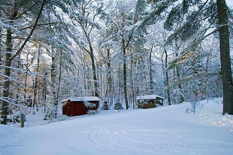 20071228_094054 D2X F.jpg - Winter scene, Happy Tails, Bridgton, Maine